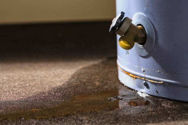Best Fire Damage Restoration  in Arcadia, WI