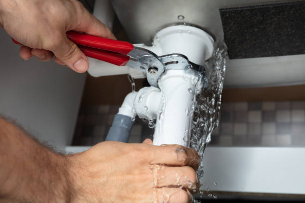 Best Professional water damage repair  in Arcadia, WI