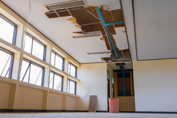 Best Emergency water damage restoration  in Arcadia, WI