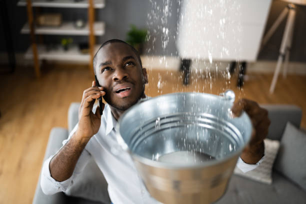 Best 24-hour water damage restoration  in Arcadia, WI