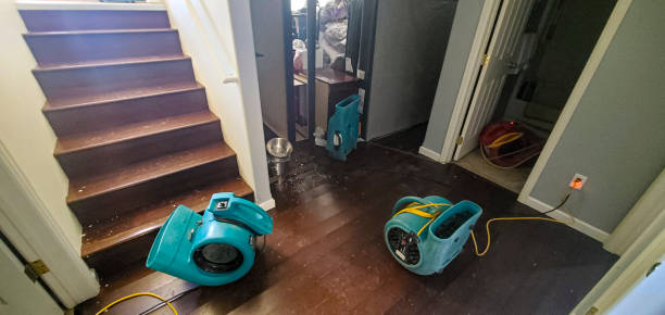 Best Flood damage cleanup  in Arcadia, WI
