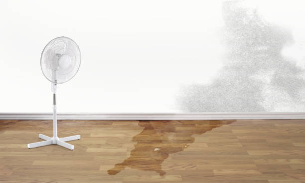 Carpet water damage restoration in WI