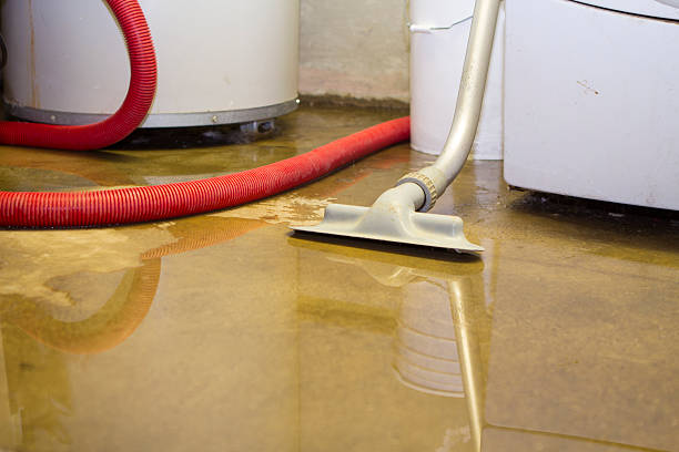 Best Basement water damage restoration  in Arcadia, WI