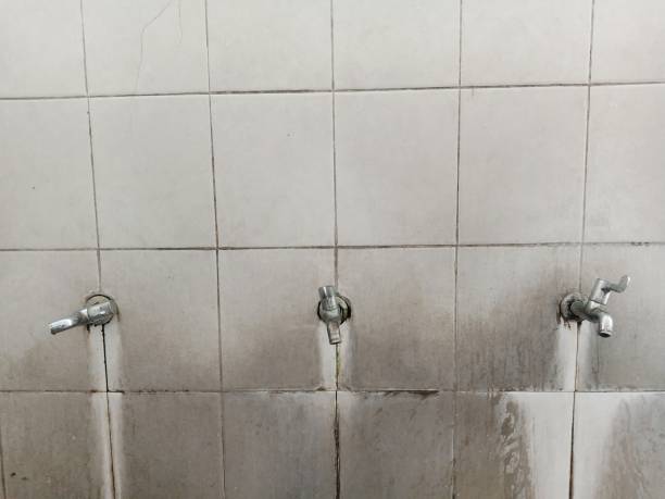Best Sewage cleanup and water damage restoration  in Arcadia, WI